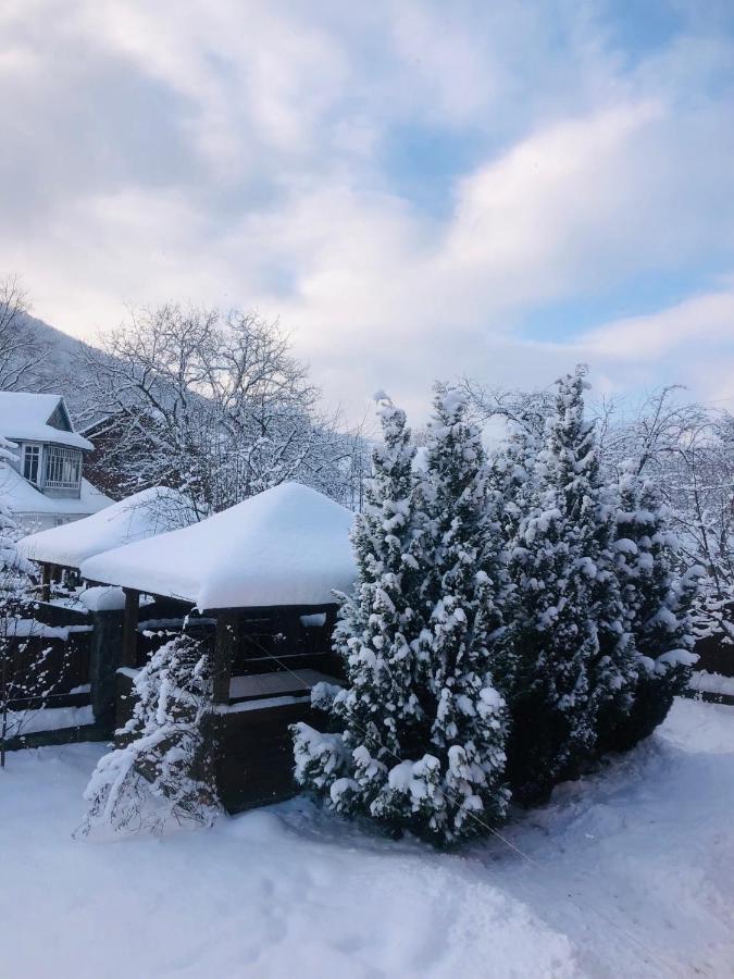 Котедж Гірський Yaremche Exterior foto