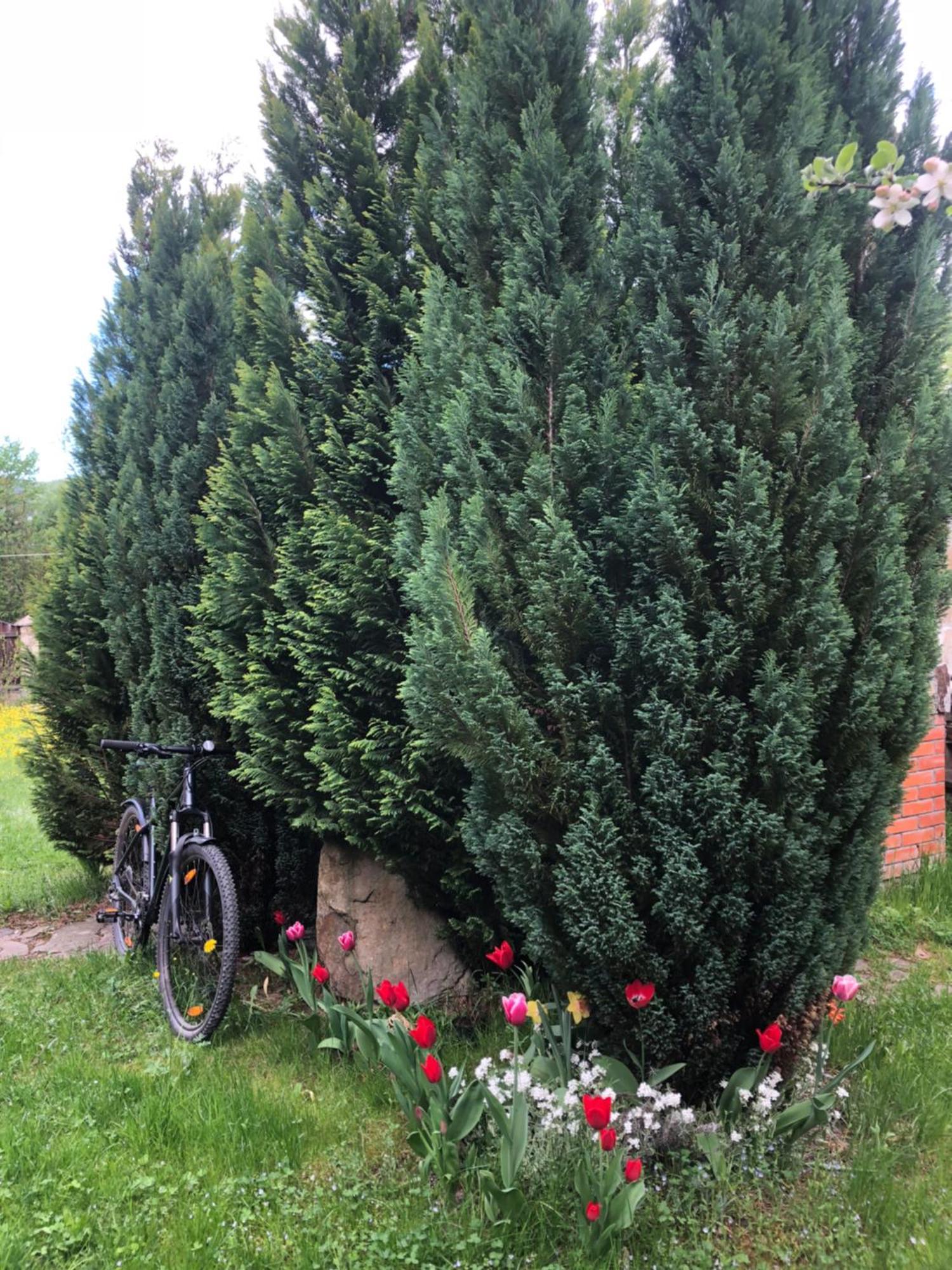Котедж Гірський Yaremche Exterior foto