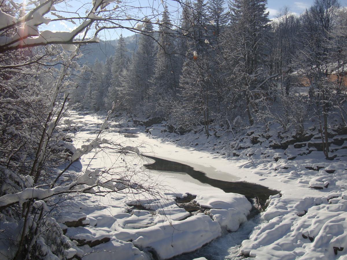 Котедж Гірський Yaremche Exterior foto