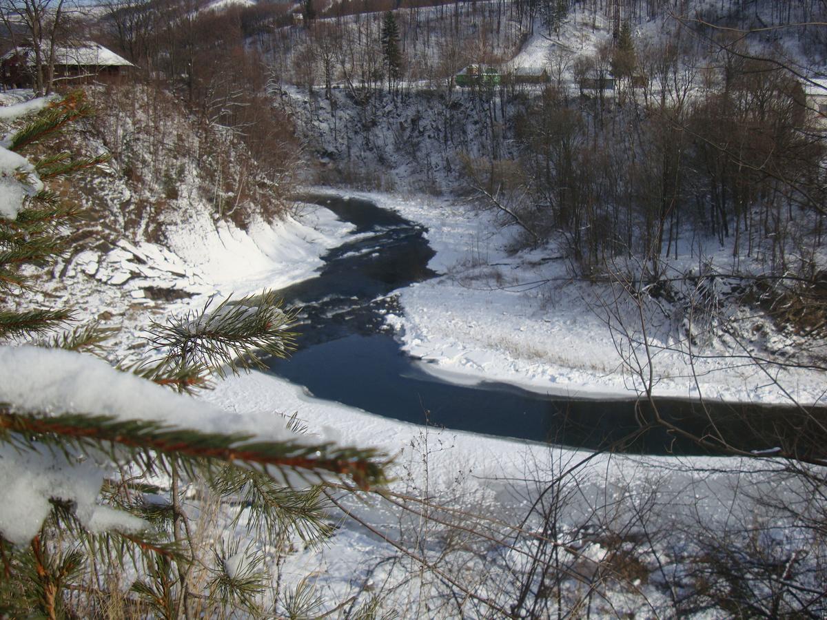 Котедж Гірський Yaremche Exterior foto