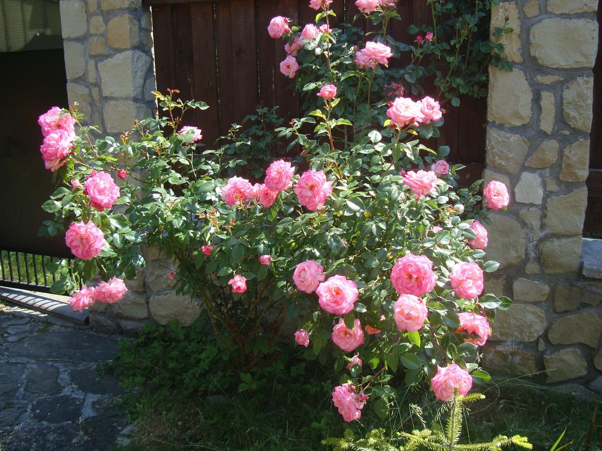 Котедж Гірський Yaremche Exterior foto