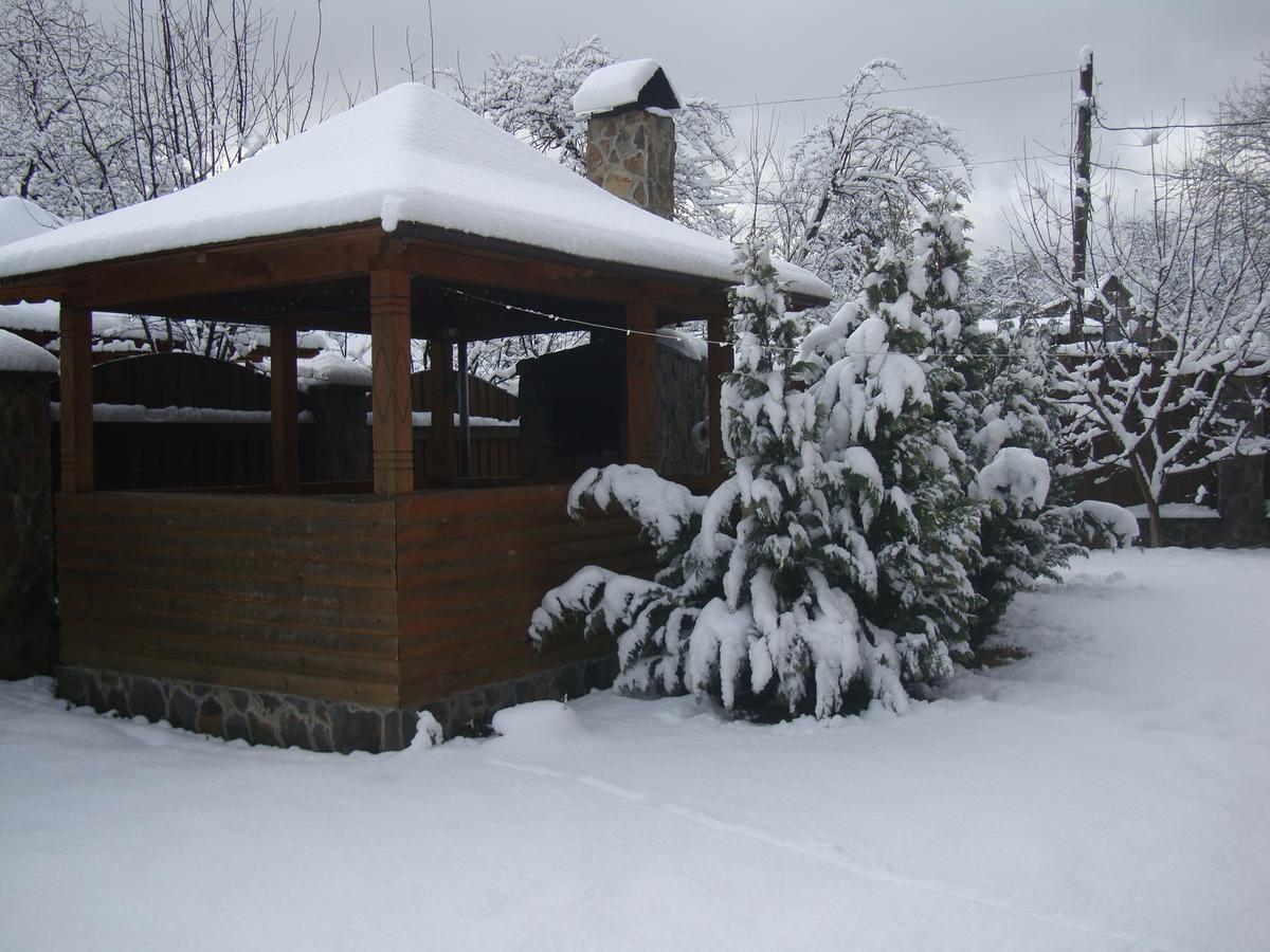 Котедж Гірський Yaremche Exterior foto